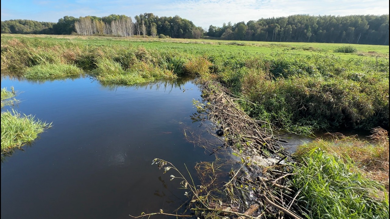 Unmeasurable Amount of Water Released