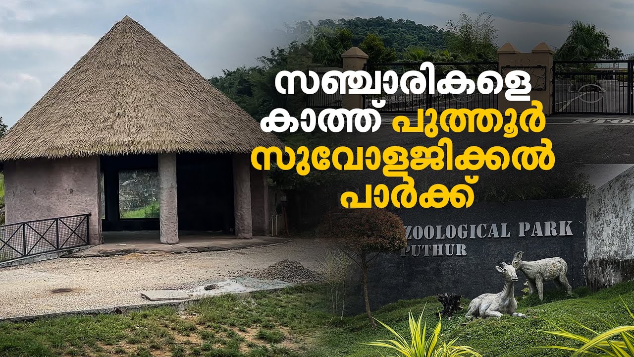 Over 200 Animals in 336 Acres: Exploring Puthoor Zoological Park