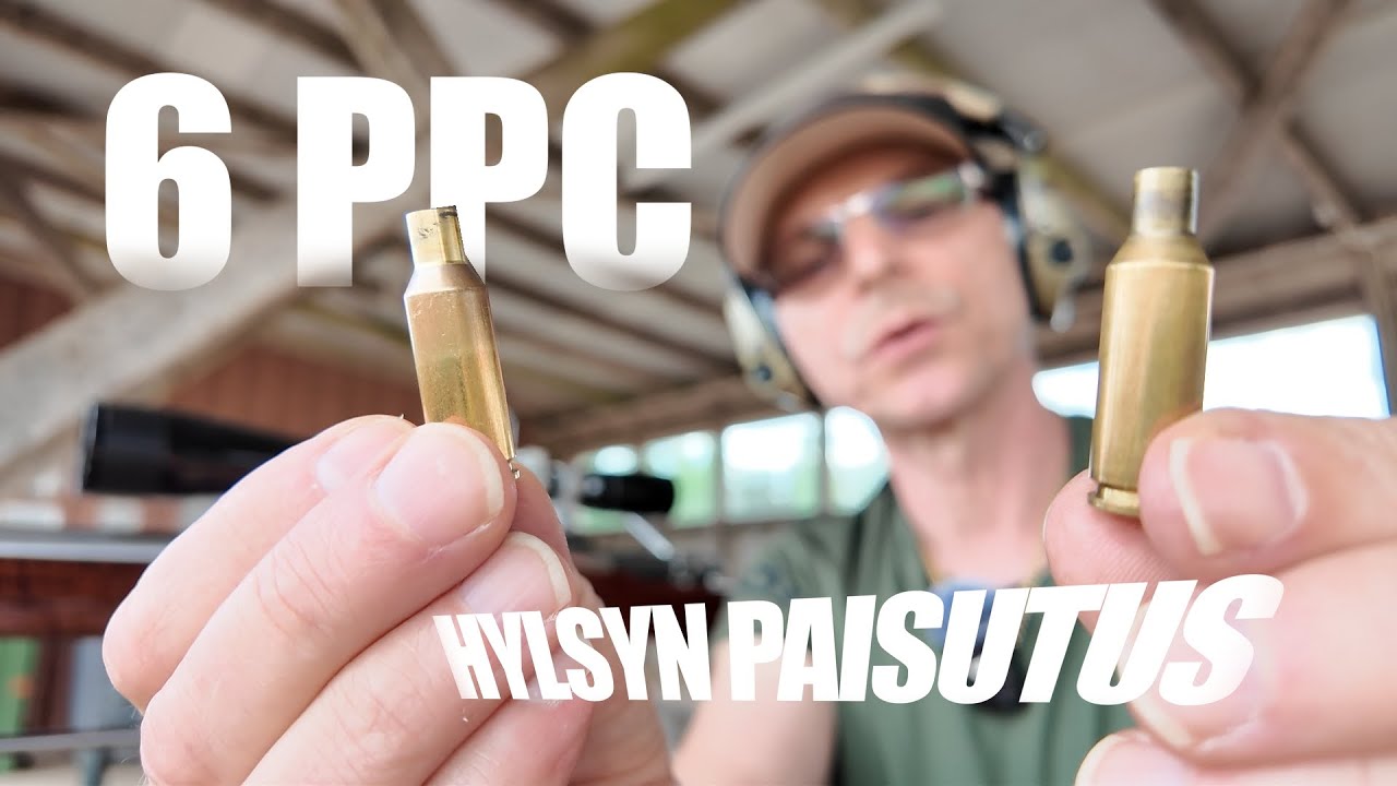 6 PPC HYLSYN PAISUTUS