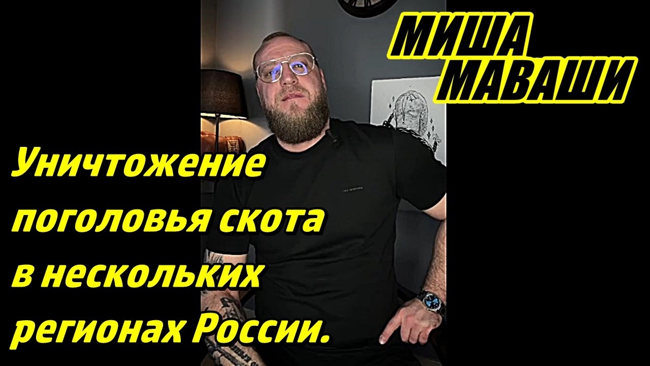 Уничтожение поголовья скота в нескольких регионах России. Монопольный движ? \ Миша Маваши