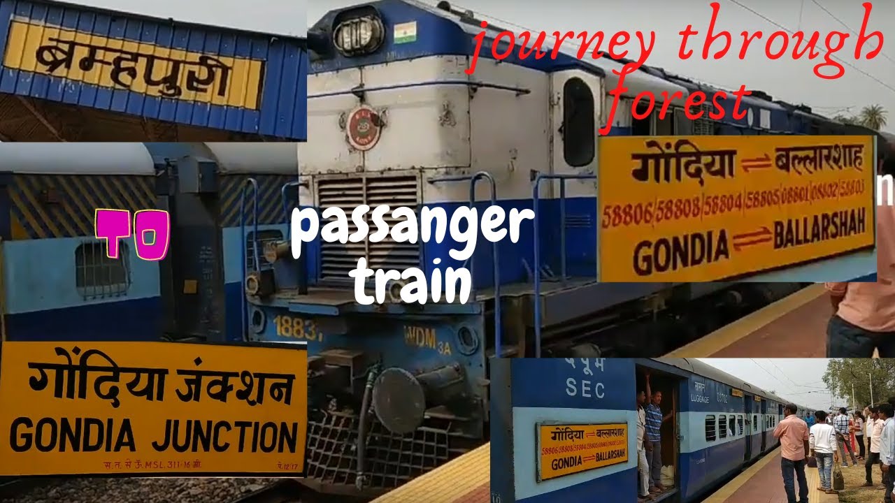 Brahmapuri to Gondia by Passanger train घनदाट जंगलातून गेलेला रेल्वे लोहमार्ग Forest railway journey