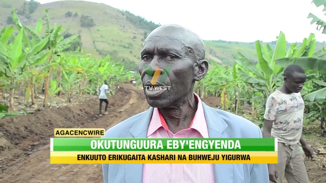 Agacencwire: Okutunguura eby'engyenda, enguuto erikugaita Kashari na Buhweju yigurwa.