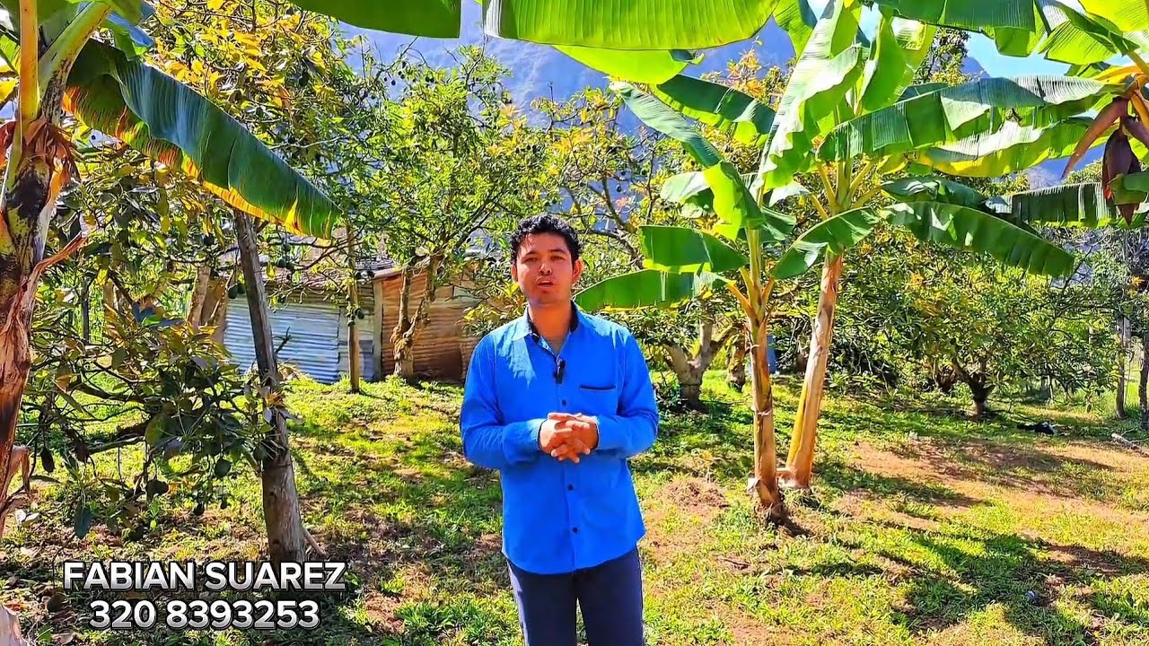 Настоящий сельский рай в Колумбии 🇨🇴👌