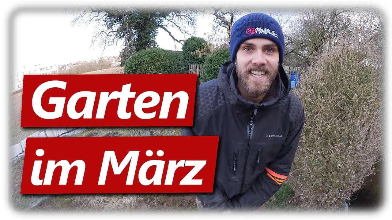 Gartenarbeit im M&auml;rz | Beerenobst pflegen & Mispel pflanzen
