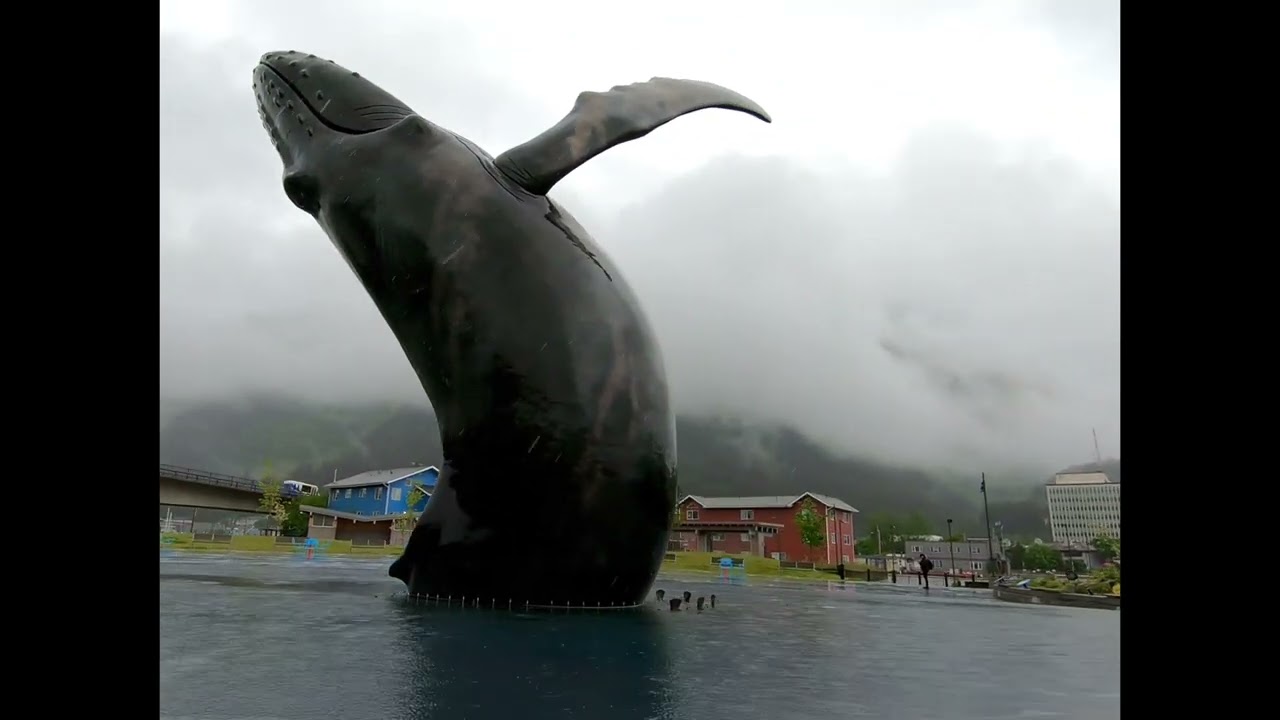 Tahku: The Whale Project
