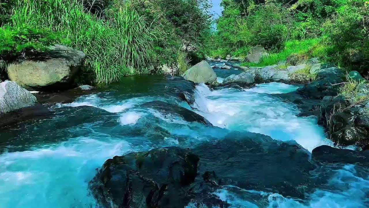 Forest River Continuous Flow, Mountain Stream Audio, Sleep