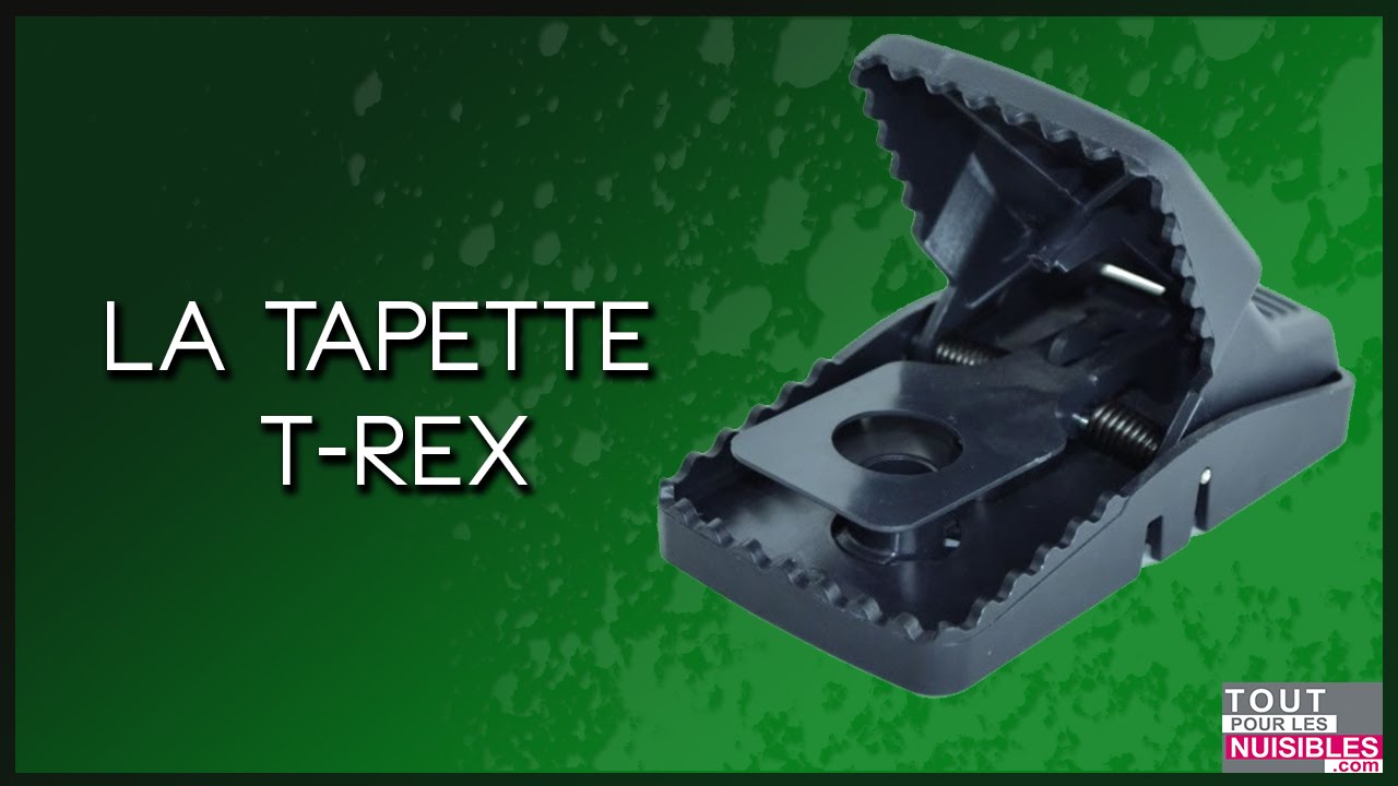 Les tapettes à souris T-Rex