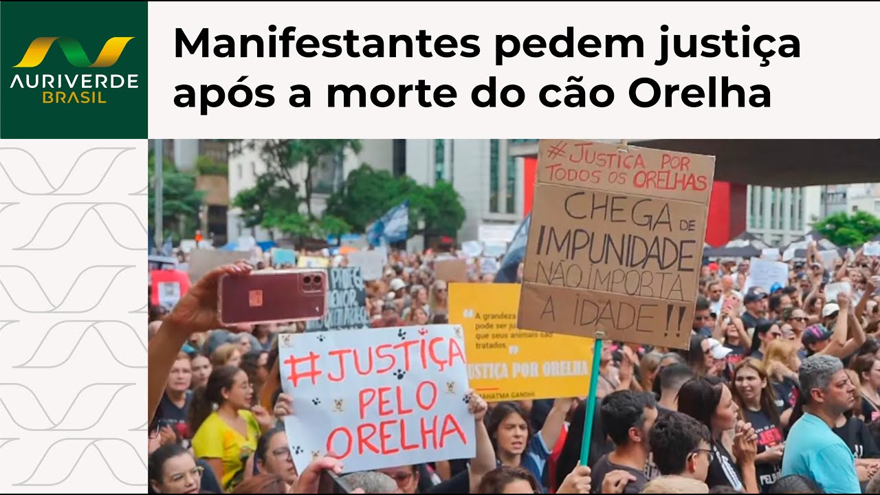 Manifestação na Avenida Paulista em protesto por justiça após a morte do cão Orelha