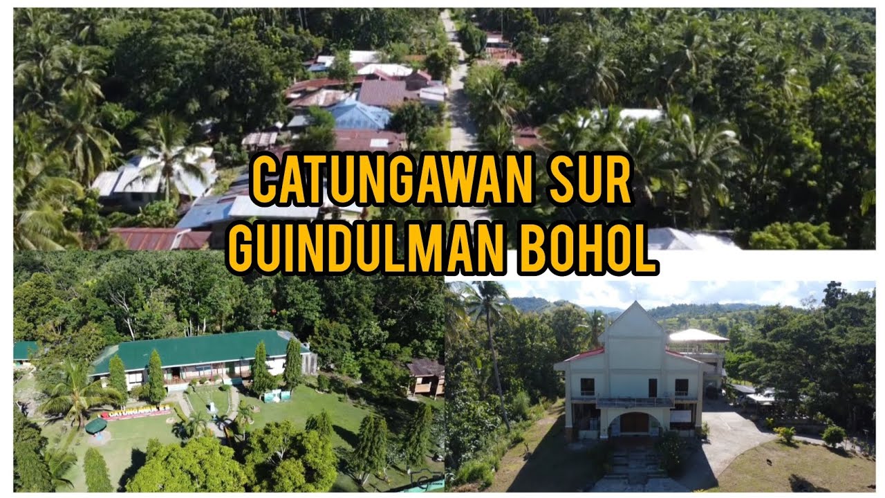 Catungawan Sur Guindulman Bohol aerial view