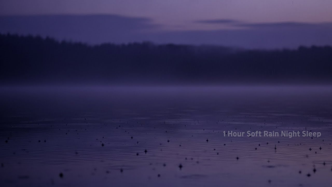 🎵 1 Hour Soft Rain Night Sleep – Gentle Rain Ambience for Deep Rest