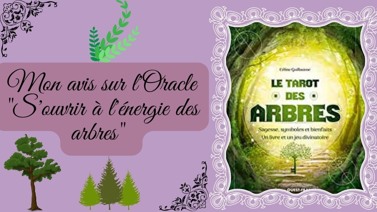 Mon avis sur l'Oracle 