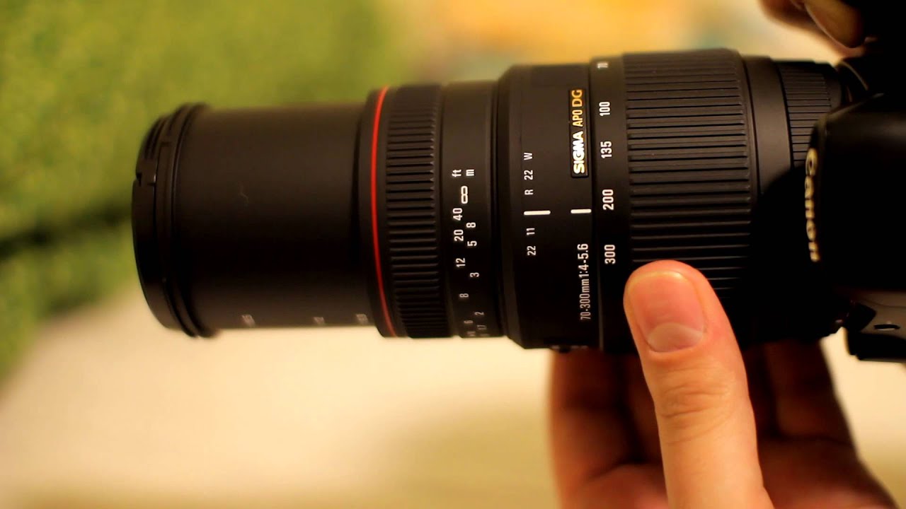 Обзор объектива Sigma 70-300mm f/4 - f/5.6 APO... с примерами