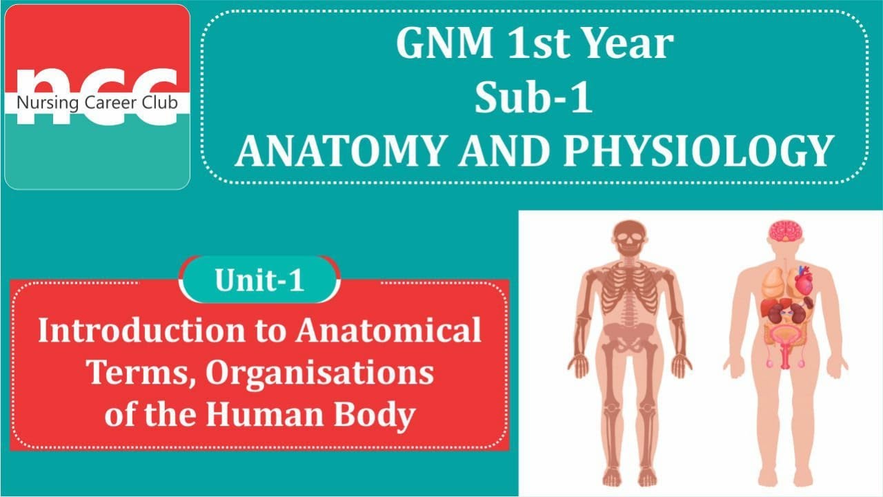 GNM  - 1.1.1 -  INTRODUCTION TO ANATOMICAL TERMS & ORGANISATIONS OF  THE HUMAN BODY