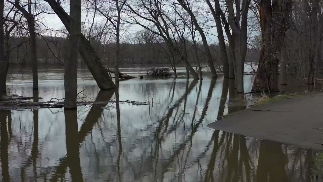 Flooding Along Grand River After 'Torrential' Rain