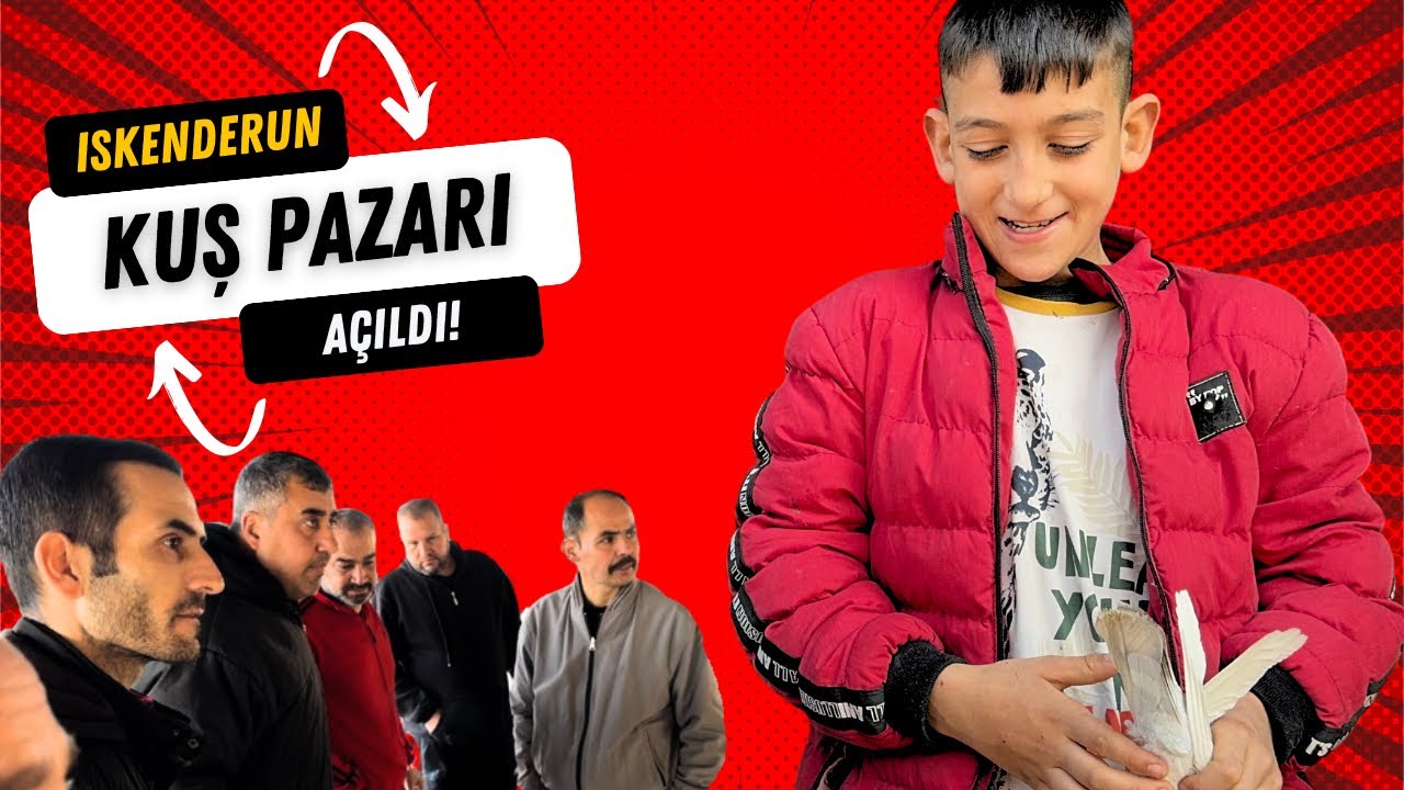 İskenderun Kuş Pazarı Açıldı! Hediye Güvercin