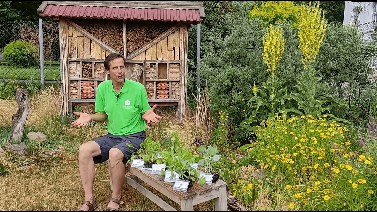 Vorbereitung auf den Gemüse-Herbst 👩‍🌾 die richtigen Kulturen & Sorten für eine reiche Herbst-Ernte