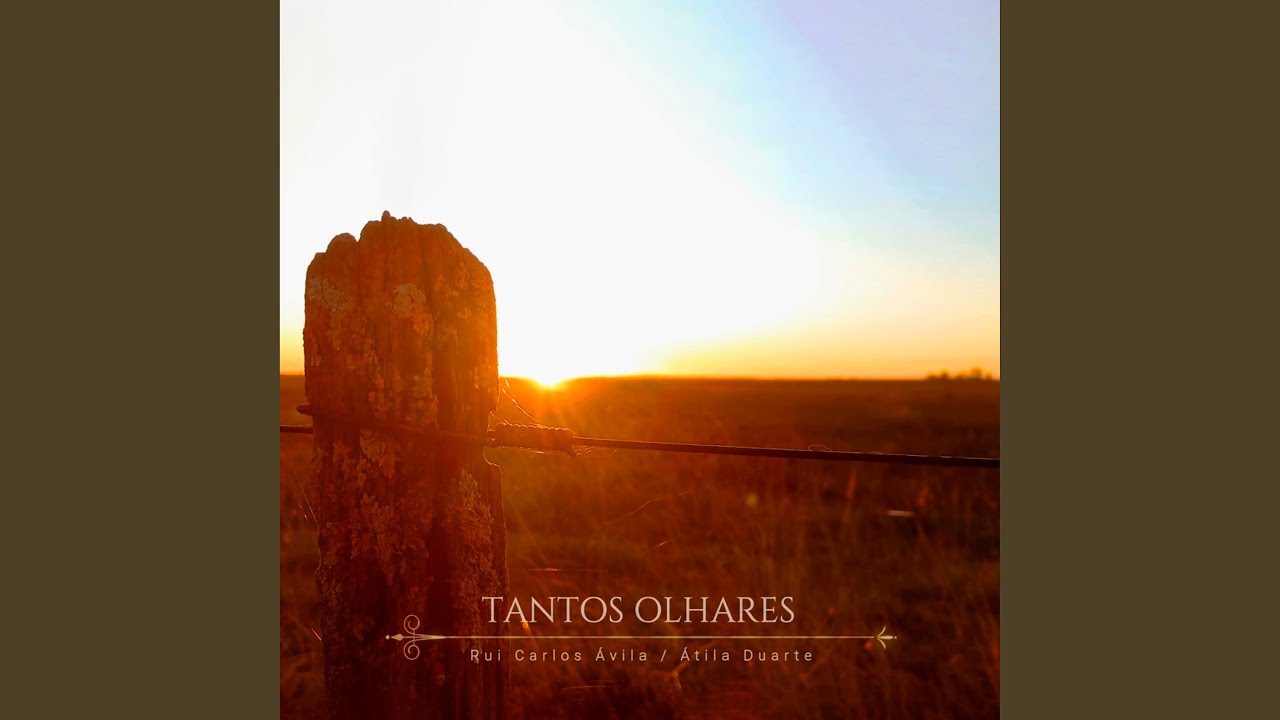 Tantos Olhares