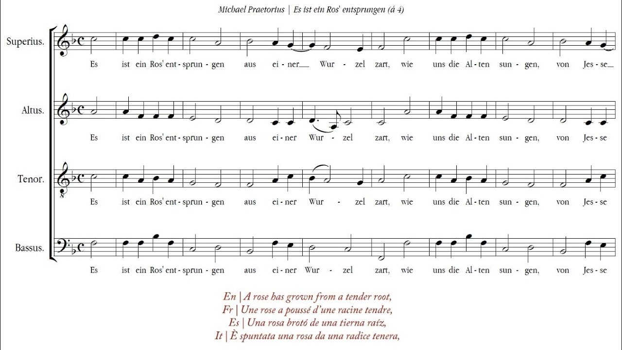Michael Praetorius | Es ist ein Ros' entsprungen [&aacute; 4; Voces8]