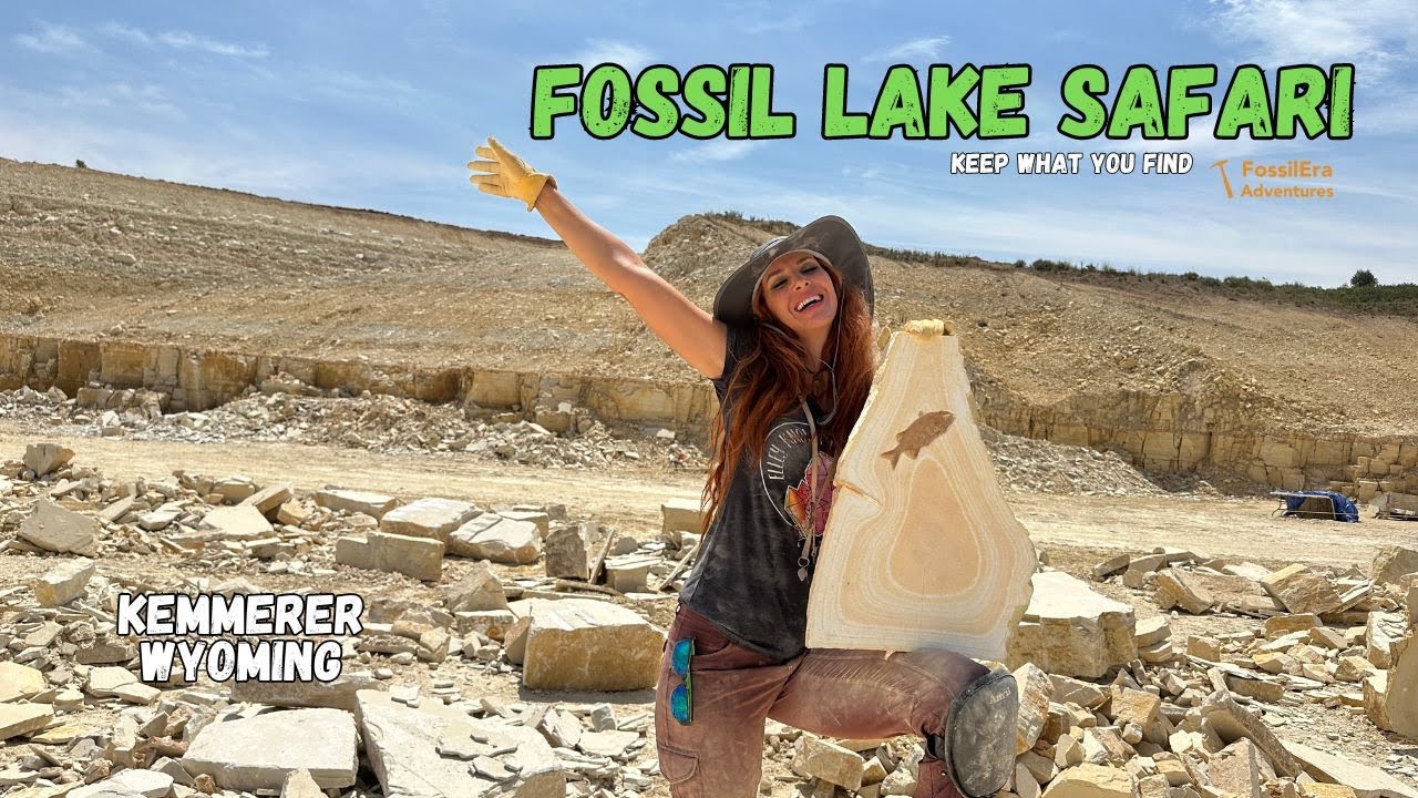 RARE FOSSIL FISH Hunt- Wyoming Fossil Lake Safari KEEP what you dig up  GREEN RIVER FORMATION