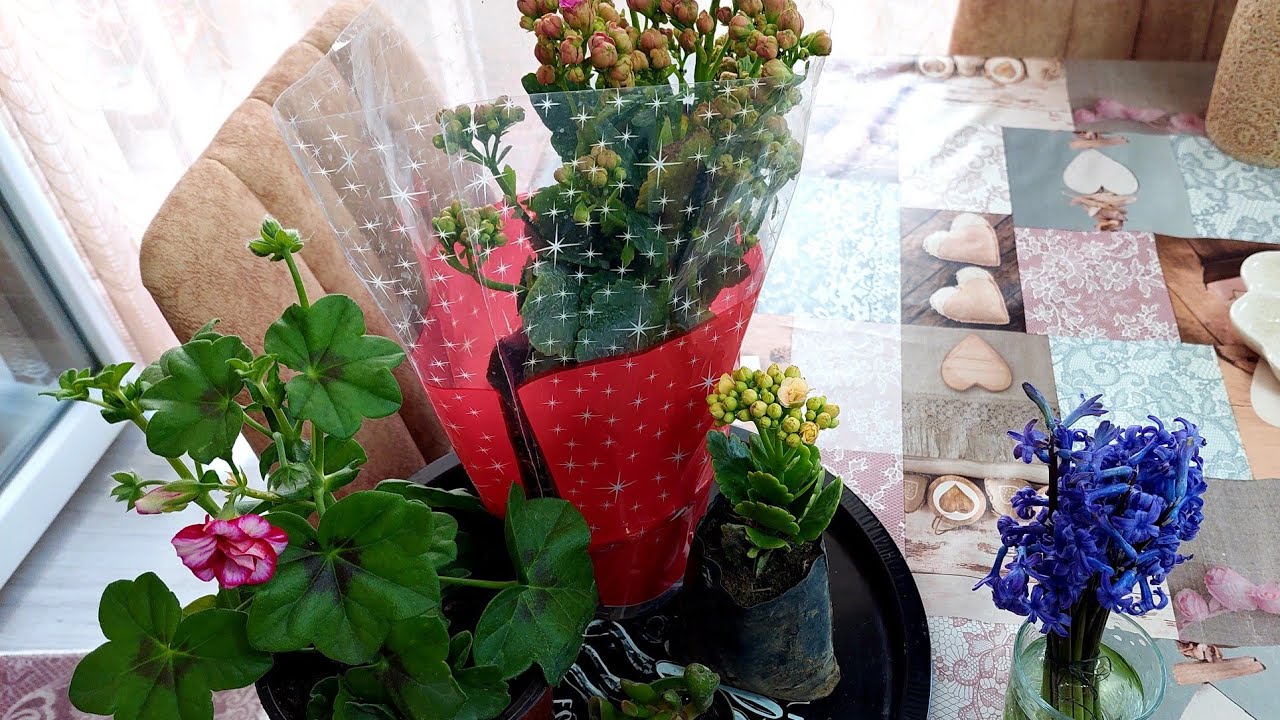 Pazar Tezgahından Aldığım Çiçekler