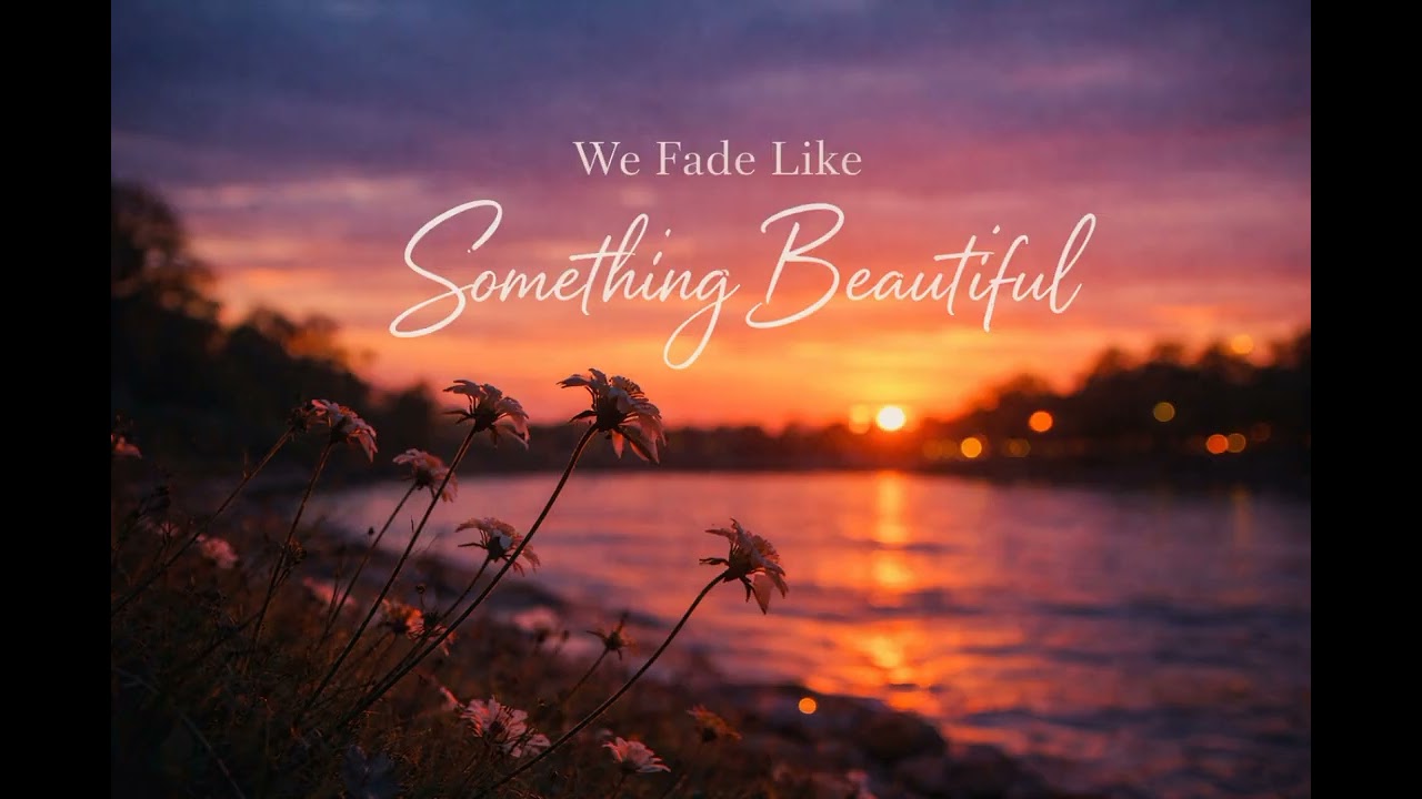 Ebi - Fade like colors 