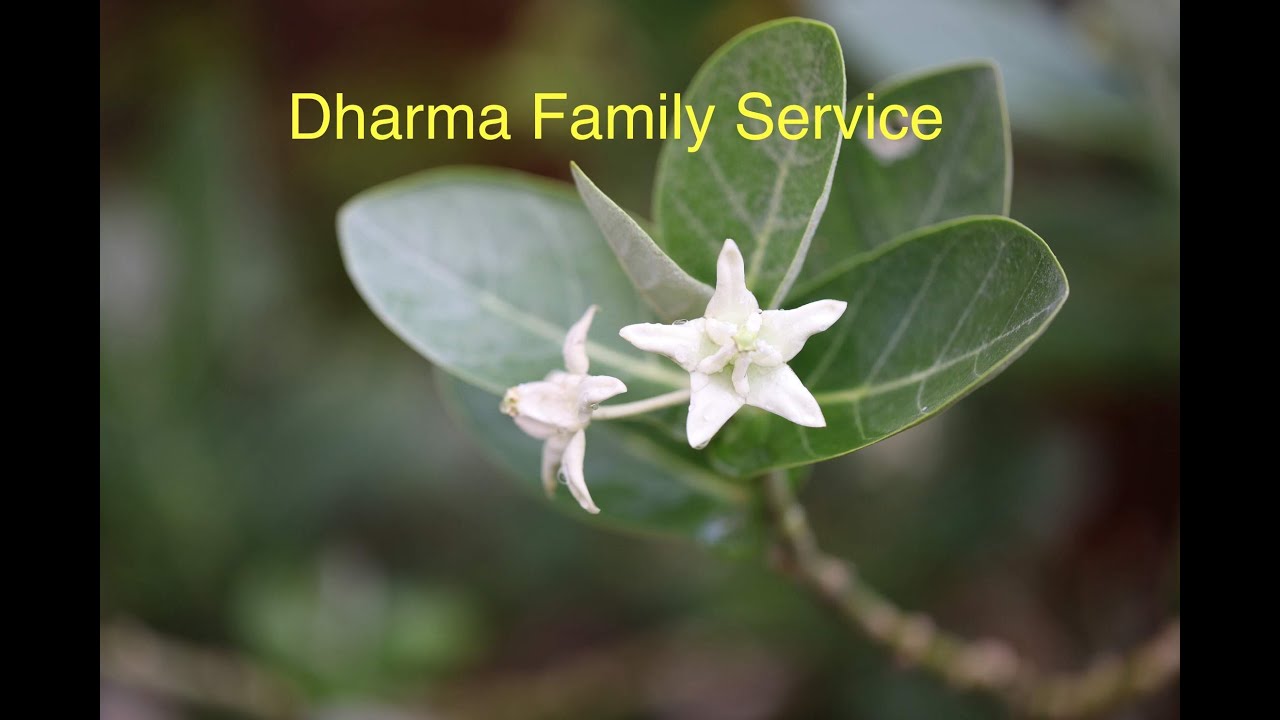 Dharma Family Service 11-09-2025