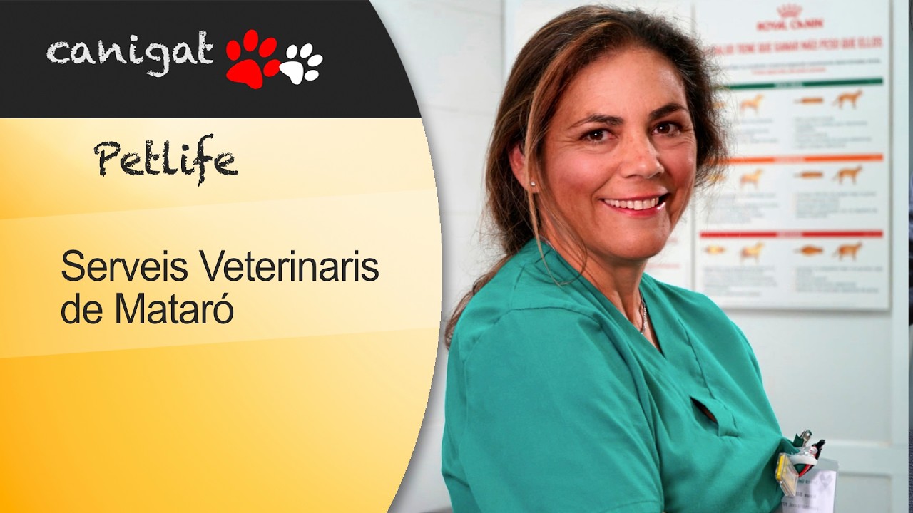ZOOMVET Serveis Veterinaris de Mataró