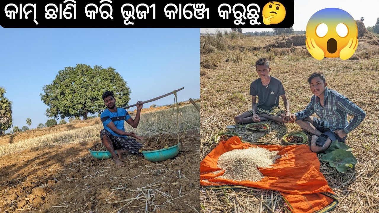 କାମ ଛାଣି କରି ଭୁଜି କରୂଛୁଁ 🤔 Sambalpuri Lifestyle Vlog#sambalpurivlog #picnic