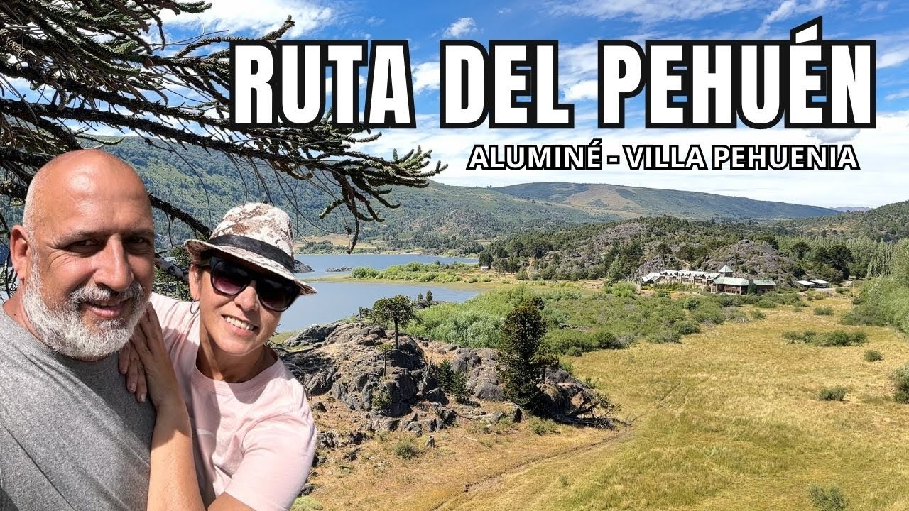 RUTA del PEHUÉN | Aluminé 👉 Villa Pehuenia 🚗 Ruta 11