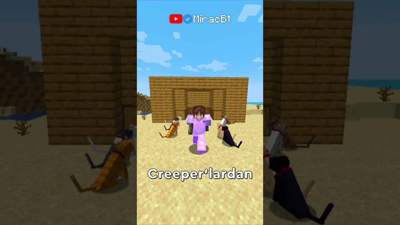 Minecraft'taki EN İYİ Evcil Hayvan Nedir? 🐎