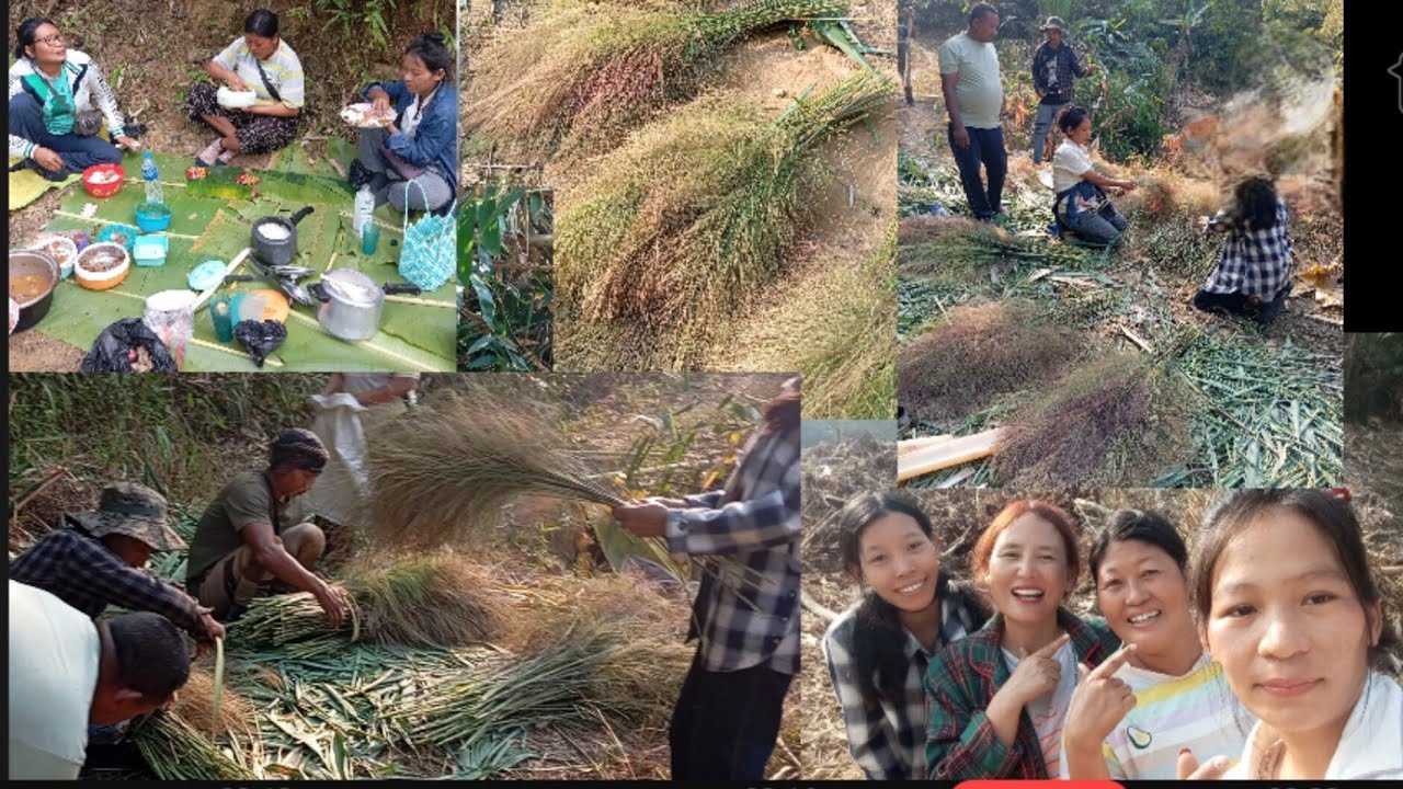 It's was a great day🤗 went to jungle searching for grass broom