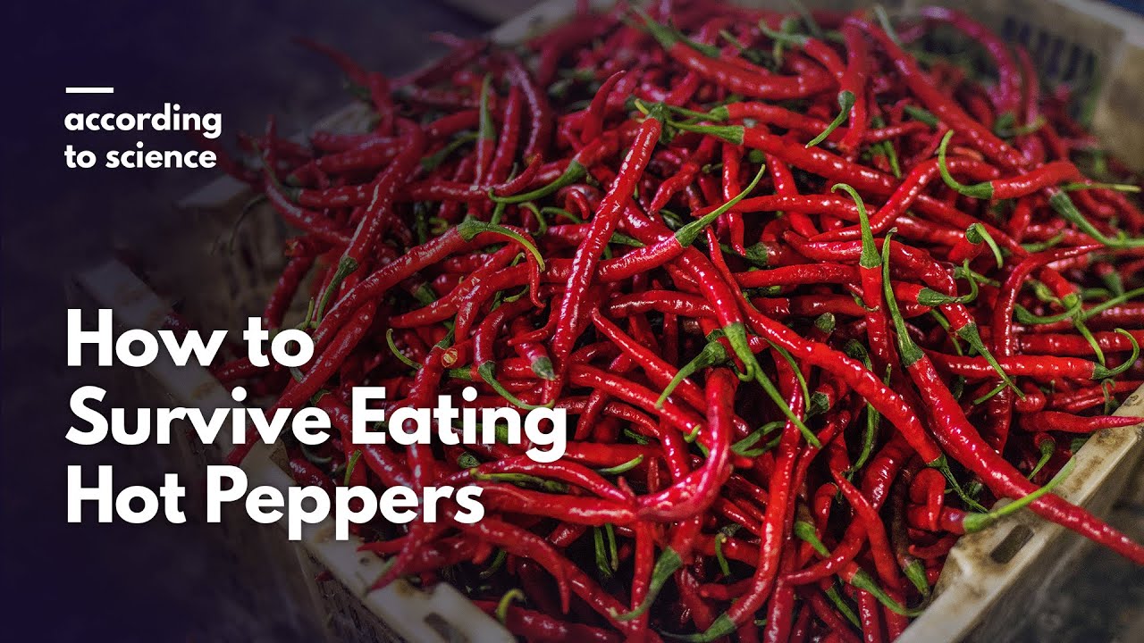 How to Survive Eating Hot Peppers, According to Science