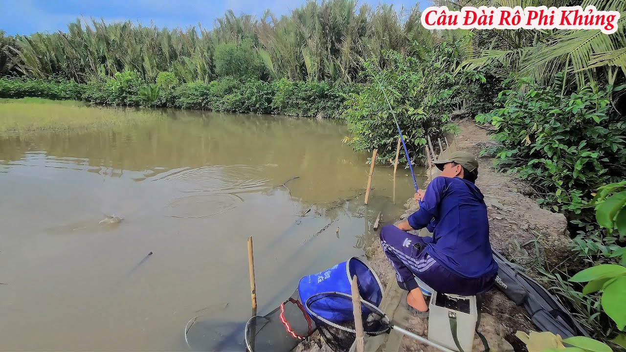 C&acirc;u Đ&agrave;i , Bất Ngờ Đụng Nguy&ecirc;n Bầy C&aacute; R&ocirc; Phi Khủng K&eacute;o Cong Cần Li&ecirc;n Tục