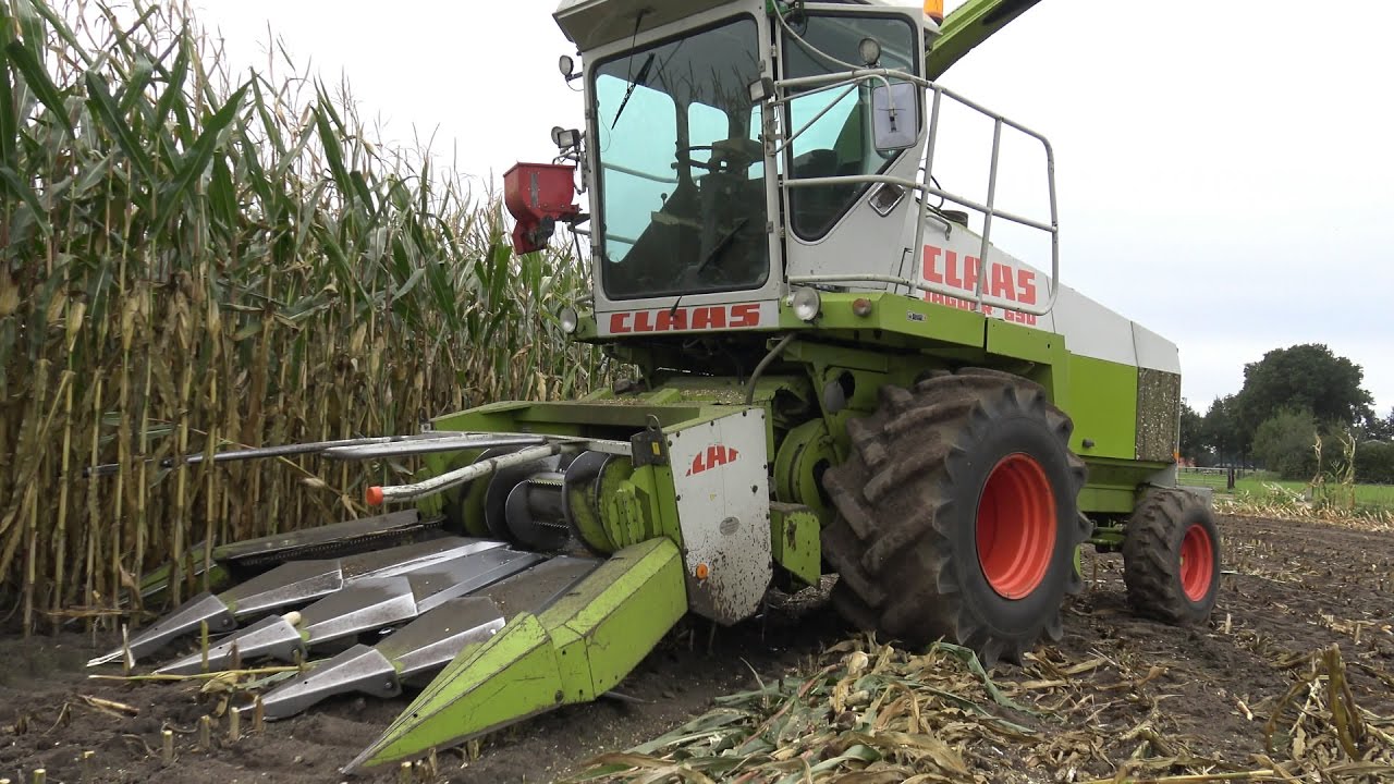 Claas Jaguar 690 met 4-rijer en 2 Case Internationals in de mais (part 2/2) (2016)