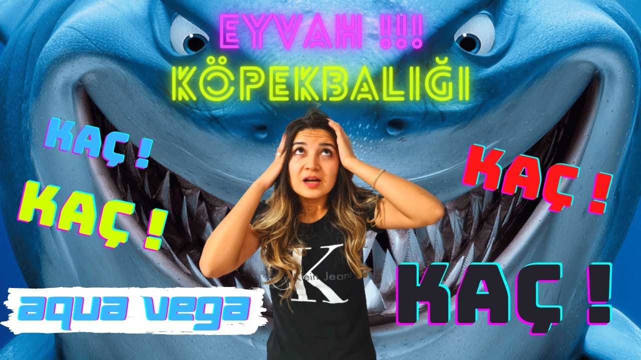 AQUA VEGA AKVARYUM ANKARA ⎮ VLOG