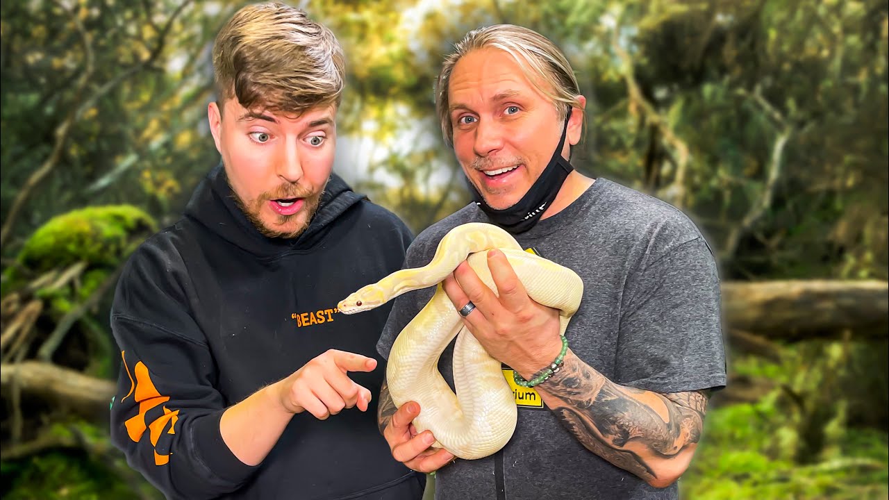 MrBeast Needs My Snakes!!!