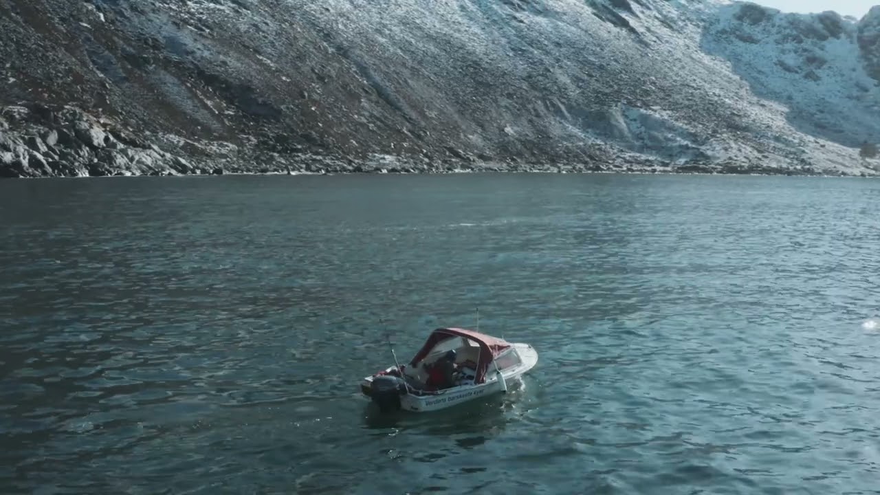 Where do you think you're going/Cover, Harald L&uuml;nell Alstadhaug