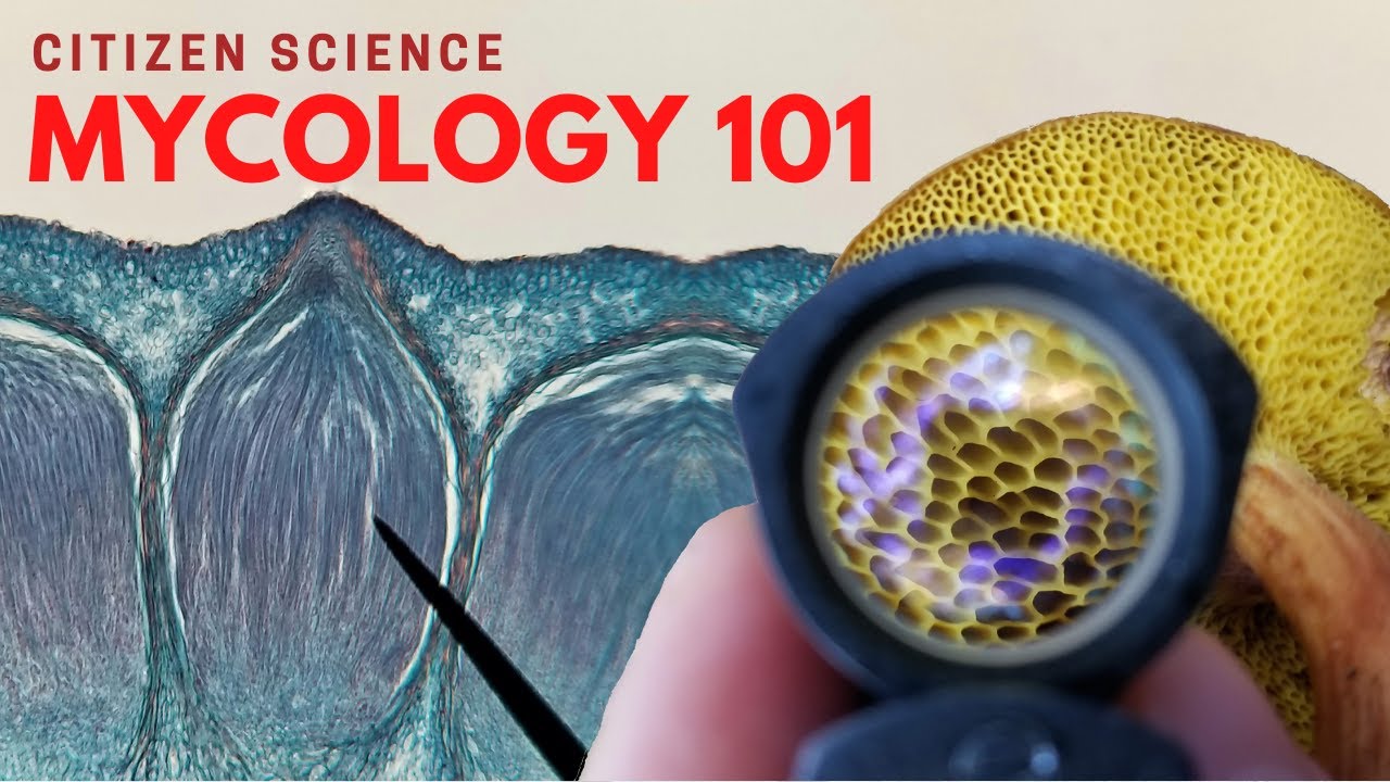 Mycology 101-Citizen Science