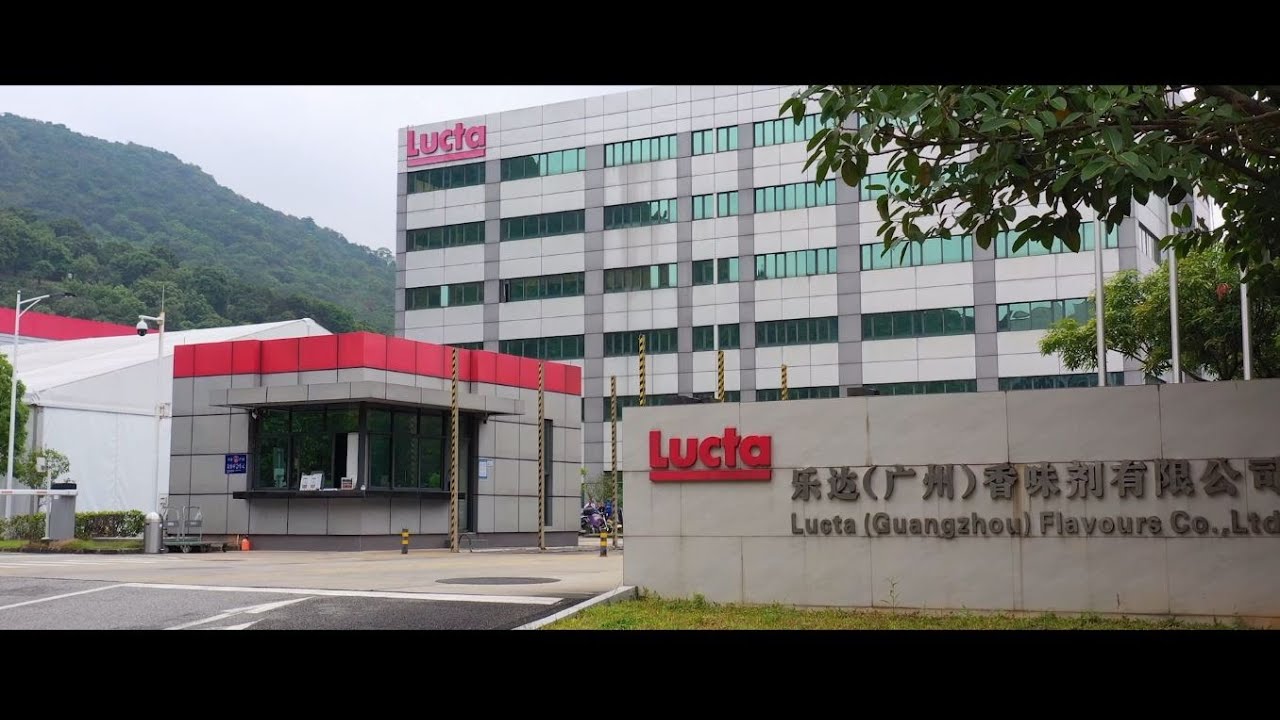 Lucta: inspirando emociones memorables desde 1949 - SUBTÍTULOS