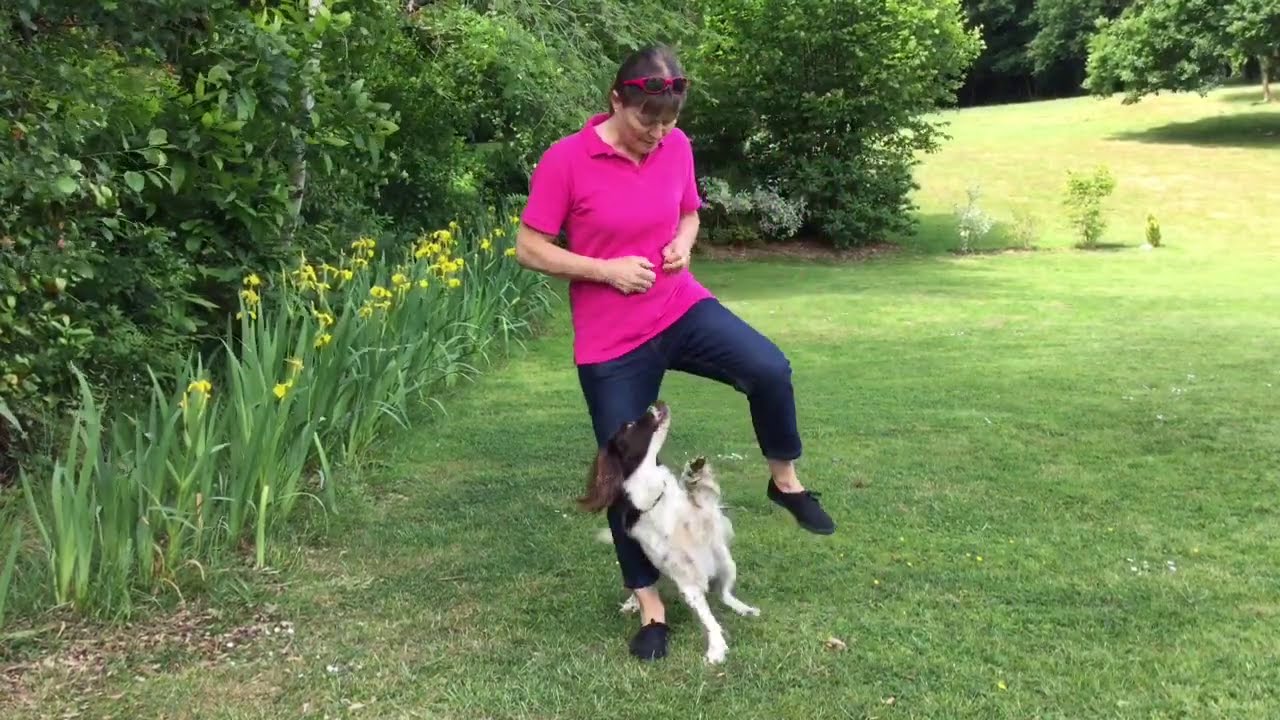 How To Teach Your Dog Paws to Prancing