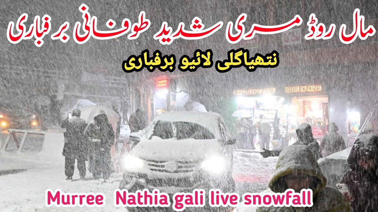 Murree live today   #murree snowfall today | nathia gali snowfall | murree Nathia gali road's update