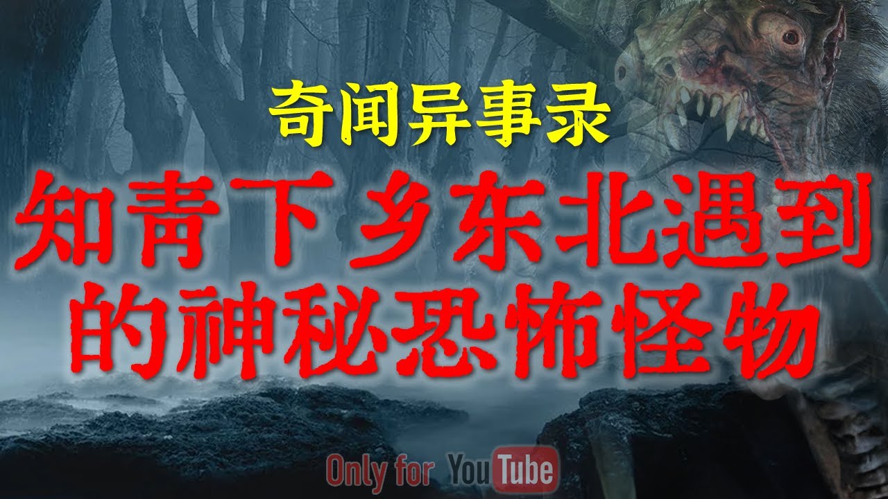 【灵异事件】一次直观的感受到AI的恐怖 | 知青下乡东北遇到的恐怖怪物，老猎人都被吓麻了#鬼故事 #睡前故事 #解压故事 #灵异故事 #民间故事 #horror #ghost「奇闻异事录--灵异电台」