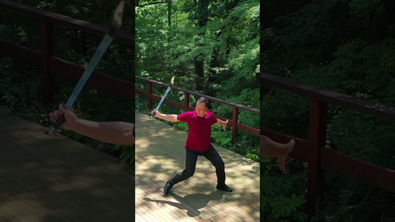 Master Ren Guangyi 任广义 | Chen Taiji Broadsword or Saber 十三刀 | Chi Force