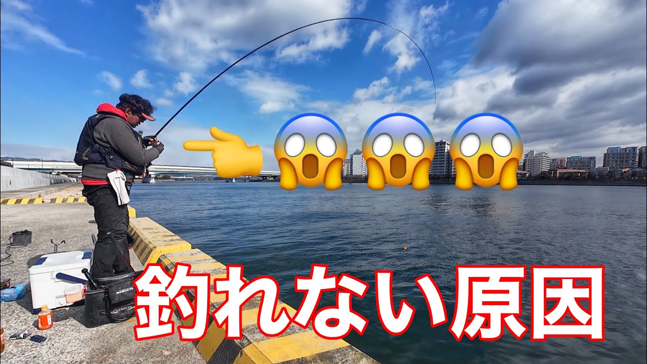 冬に黒鯛を釣るための３つの重要ポイント【チヌフカセ釣り】