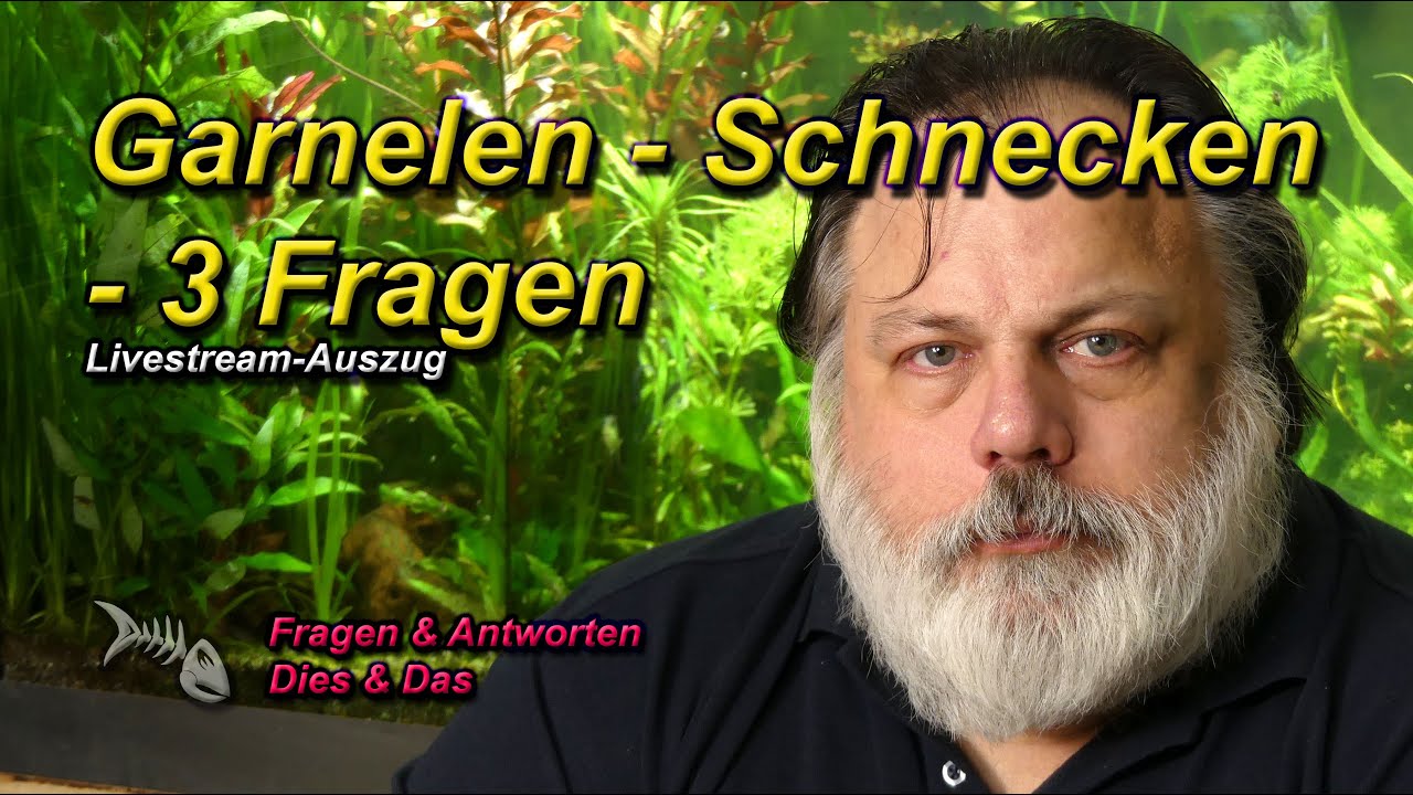 GARNELEN - SCHNECKEN - 3 FRAGEN