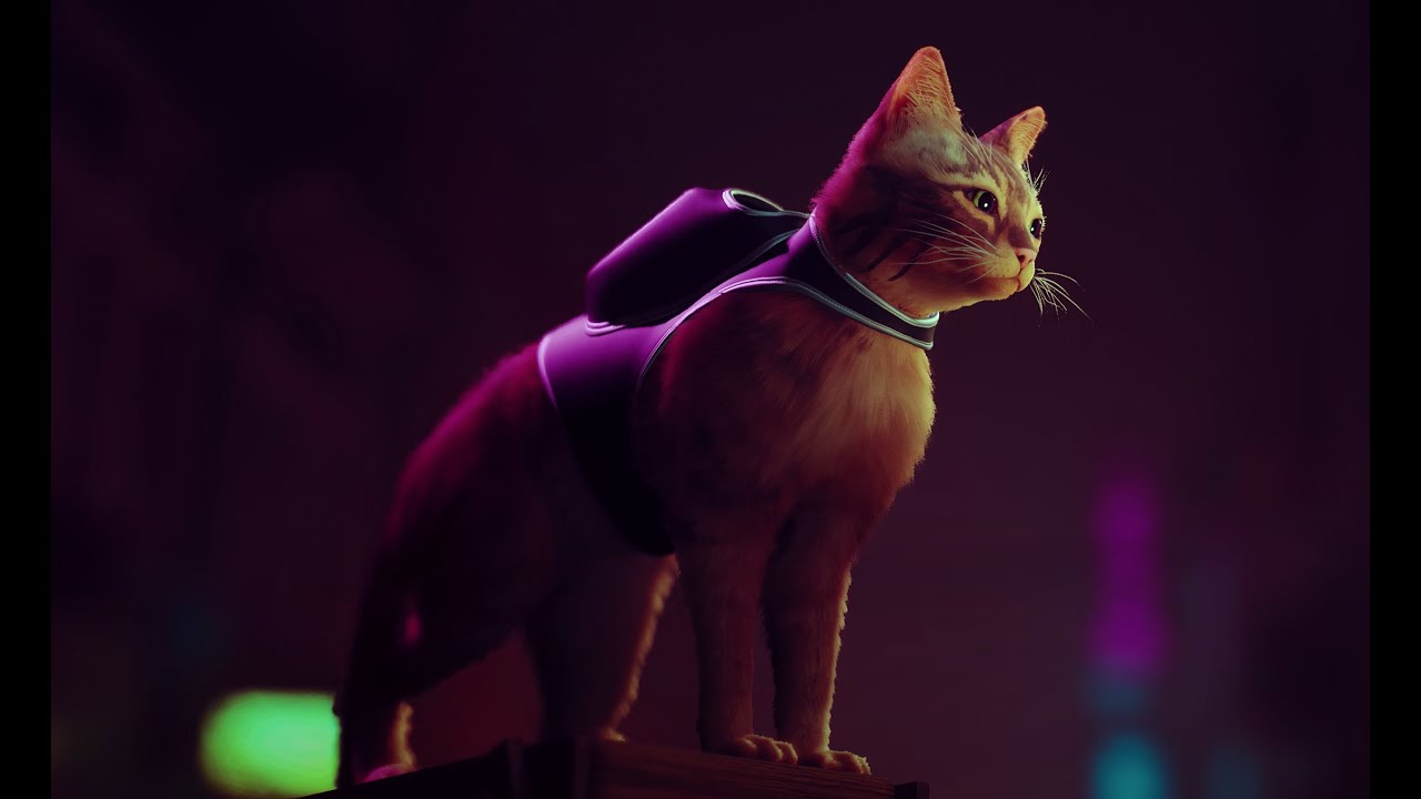 #6 - Stray - A Favela - Parte 2