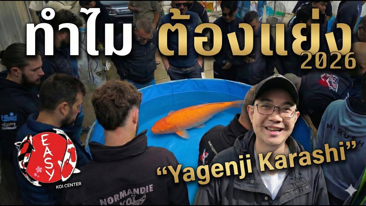 ไม่ได้มีแค่คาราชิ! เจอของแรร์ 'Black Shusui' ตัวลับที่ Yagenji...งานนี้มีเสียตังค์?