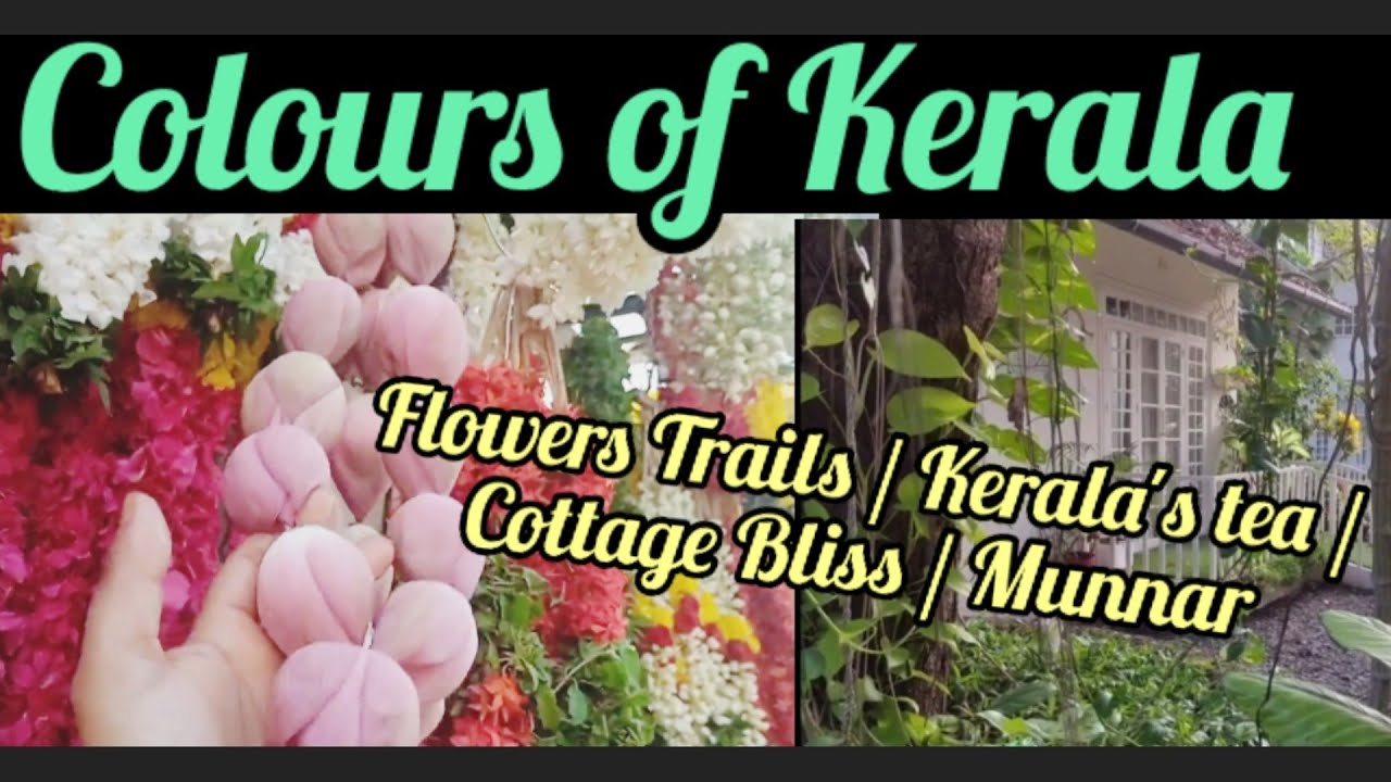 Colours of Kerala /Flowers Trails / Kerala's tea / Cottage Bliss / Munnar