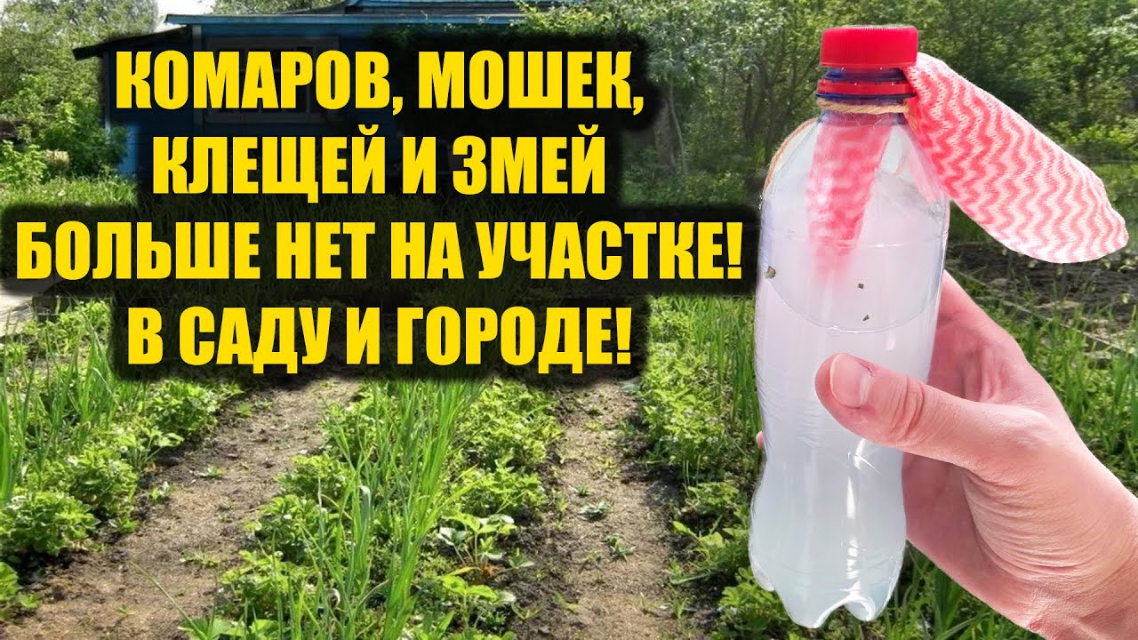 Забыла про Комаров Мошек Клещей и Змей навсегда на участке в саду и огороде!
