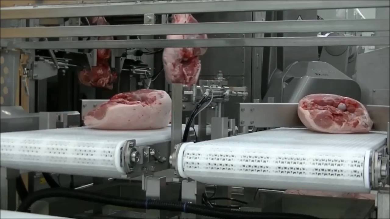 MAYEKAWA / HAMDAS-RX - automated pork ham deboning machine1